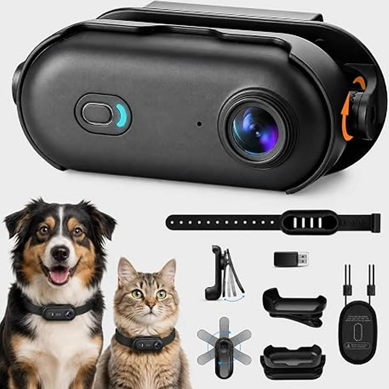 Home Cinema Hd - Haustierkameras 1080P HD Hunde- und Katzenkamera
